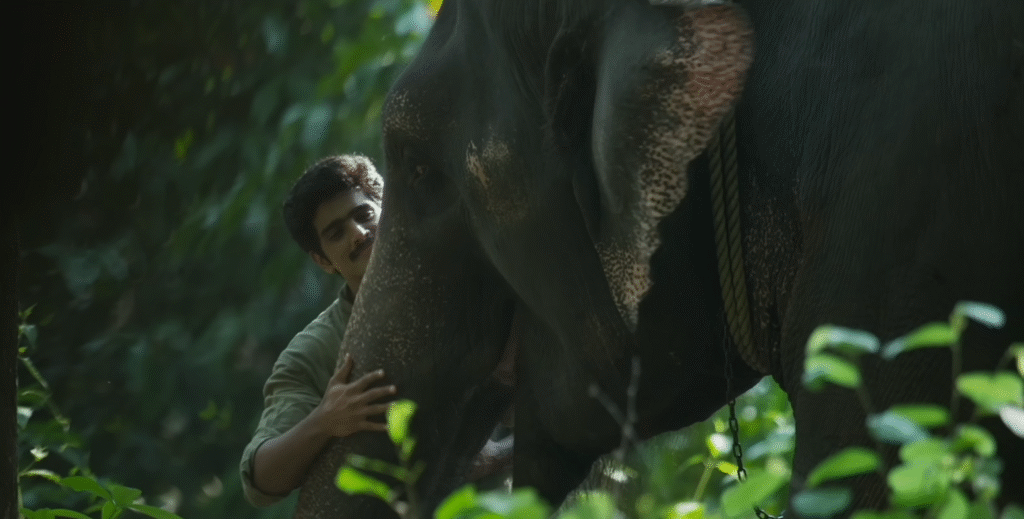 Kumki 2